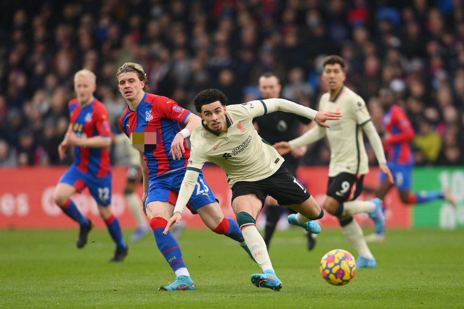 社会认识体 社会认识体